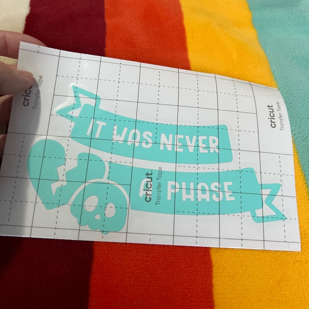 It Was Never A Phase Vinyl Decal ☠️